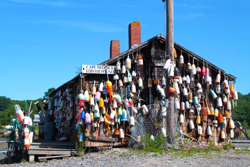 Cape Neddick Lobster Pound